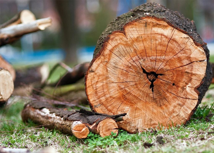 Livraison bois de chauffage